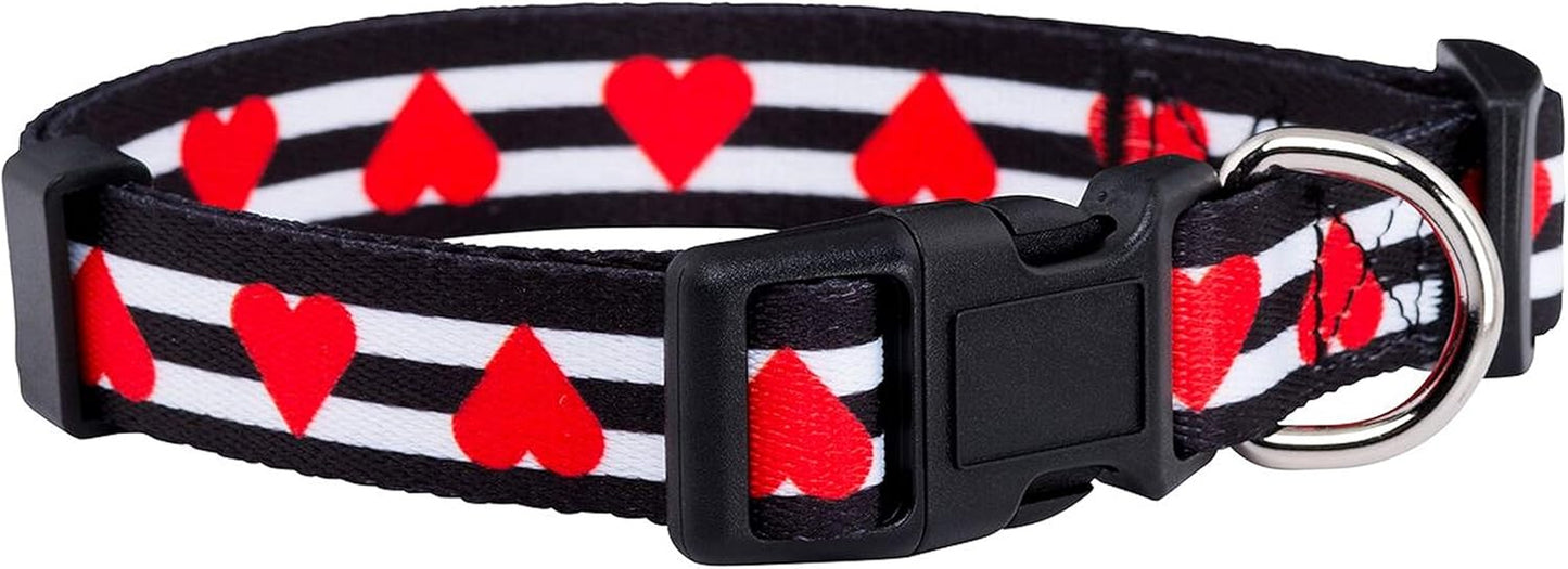 Halloween Dog Collar (Large, Bats)