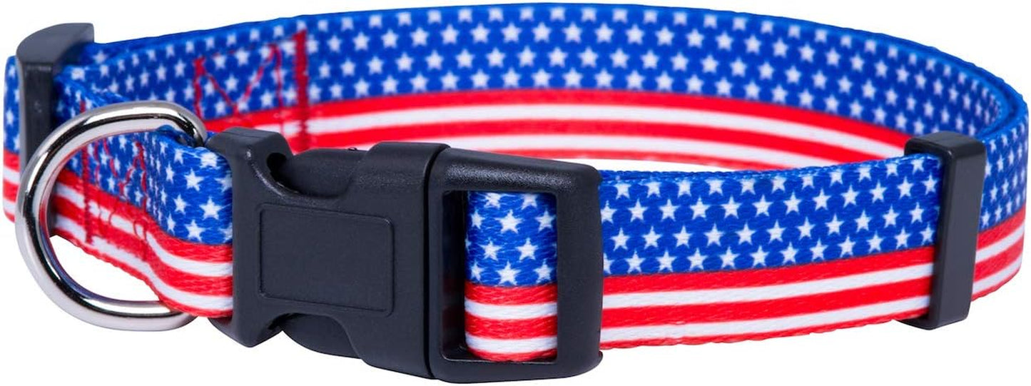 Halloween Dog Collar (Large, Bats)