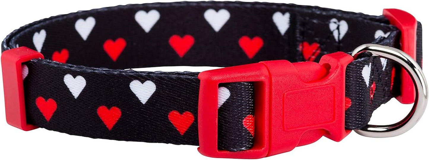 Halloween Dog Collar (Large, Bats)