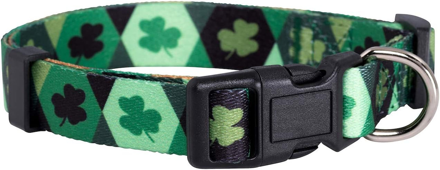 Halloween Dog Collar (Large, Bats)