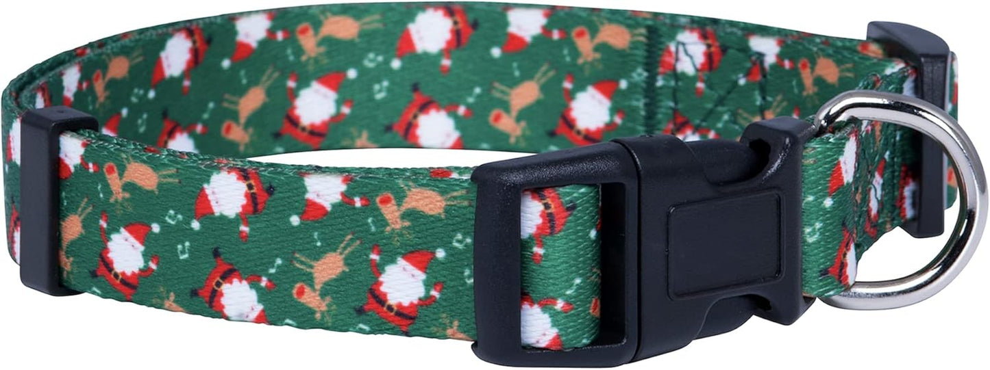 Halloween Dog Collar (Large, Bats)