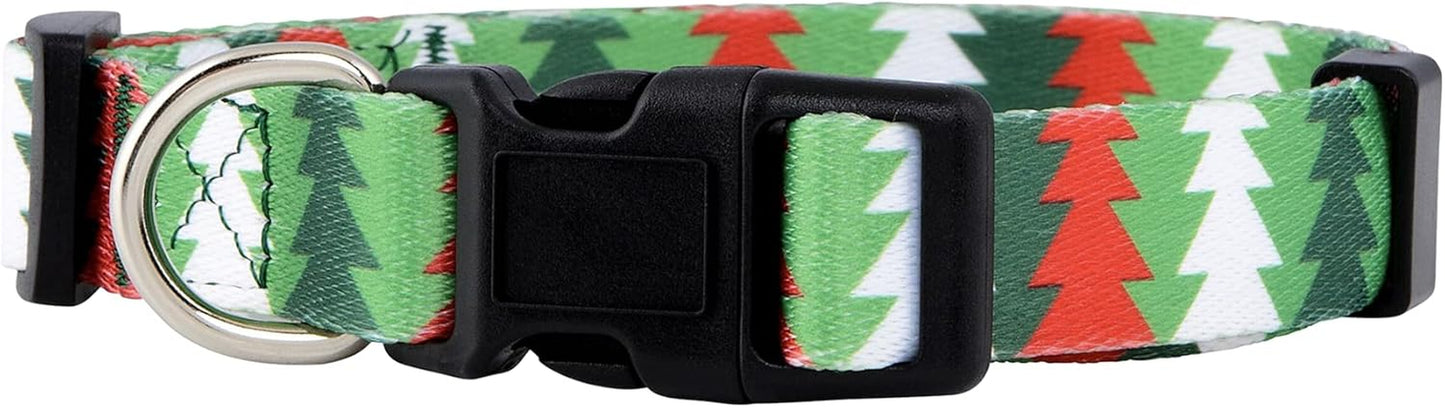 Halloween Dog Collar (Large, Bats)