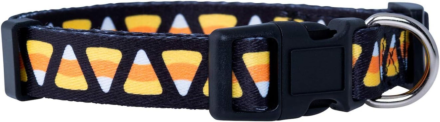 Halloween Dog Collar (Large, Bats)
