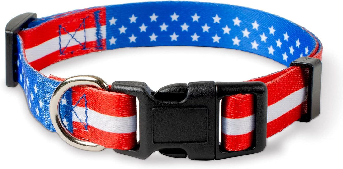 Halloween Dog Collar (Large, Bats)