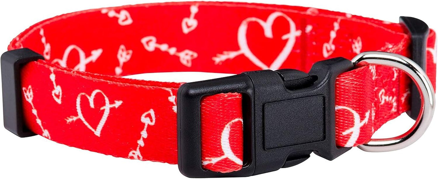 Halloween Dog Collar (Large, Bats)