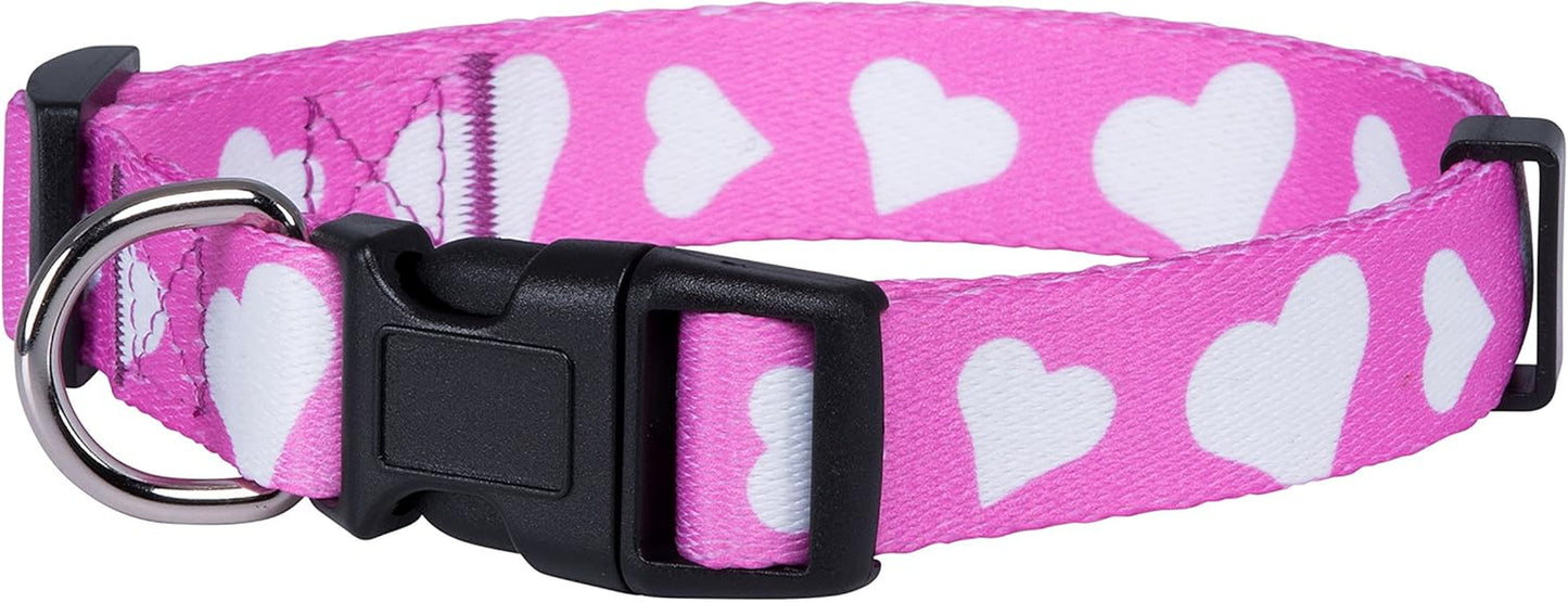 Halloween Dog Collar (Large, Bats)