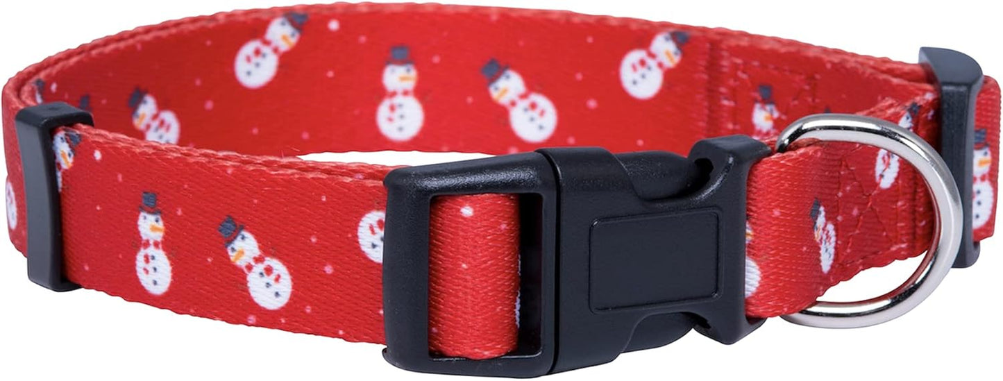Halloween Dog Collar (Large, Bats)