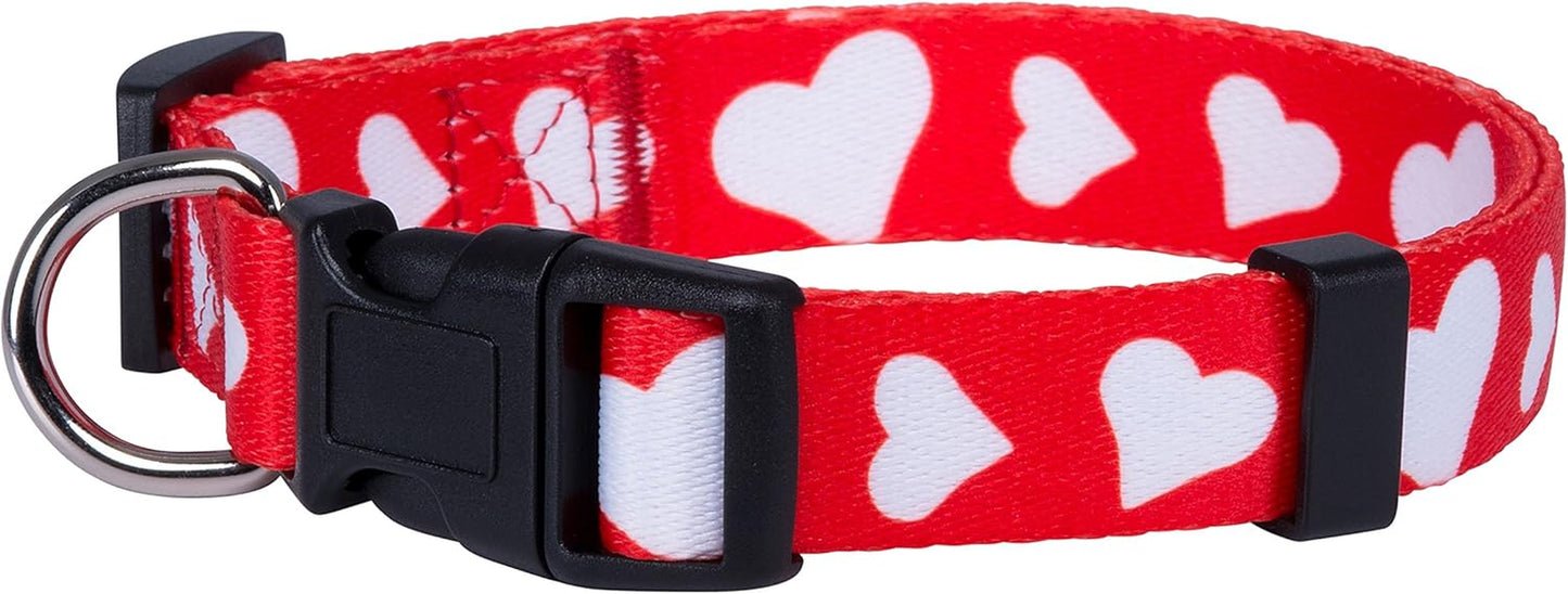 Halloween Dog Collar (Large, Bats)