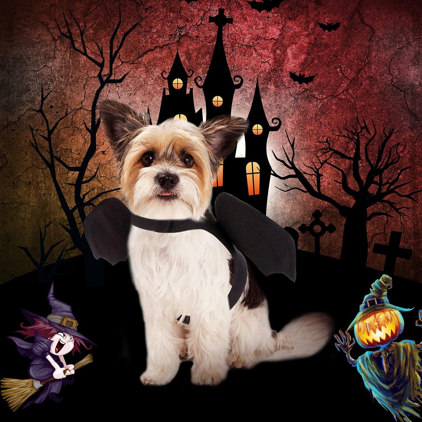 Halloween Bat Wings Costume for Dogs and Cats - Medium Pet Costume for Halloween Celebrations