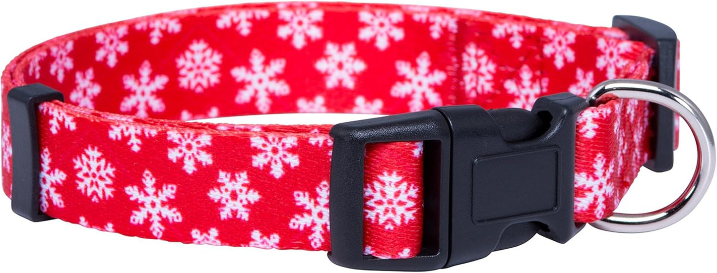 Halloween Dog Collar (Large, Bats)