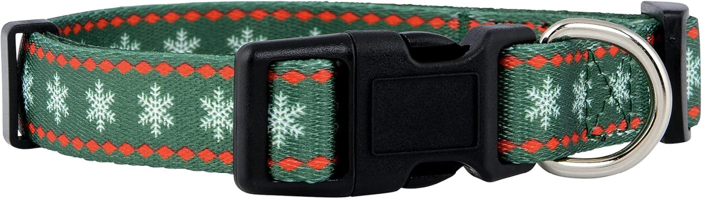 Halloween Dog Collar (Large, Bats)
