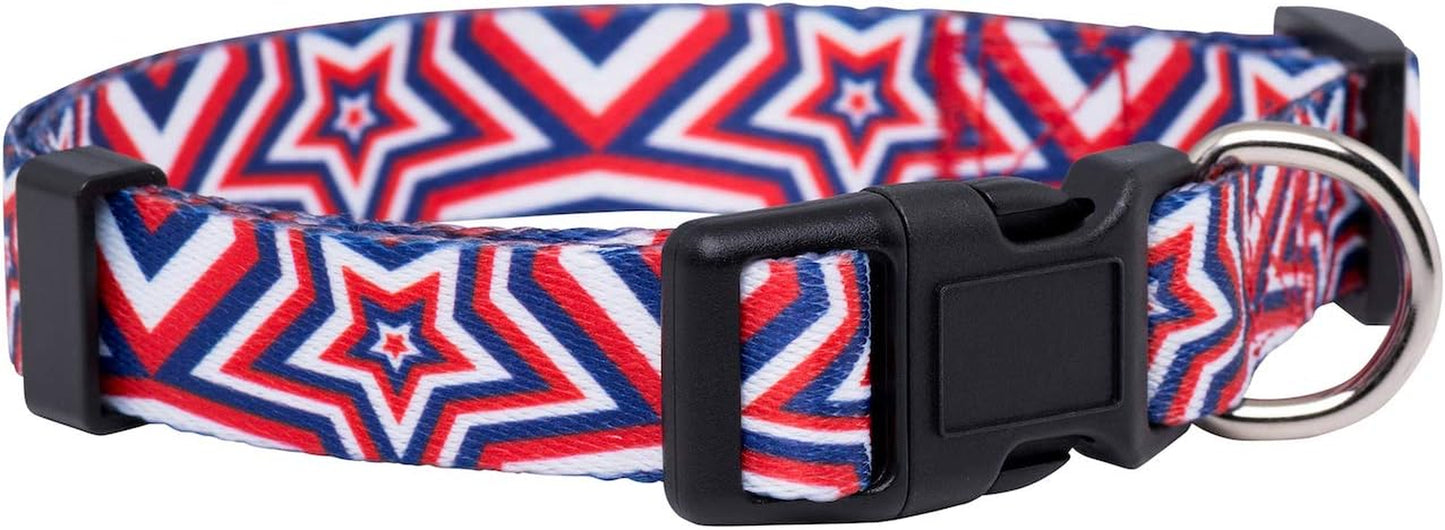 Halloween Dog Collar (Large, Bats)