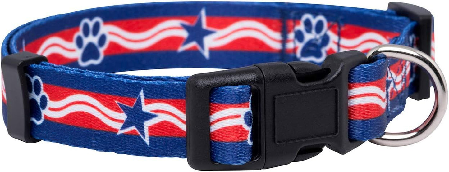 Halloween Dog Collar (Large, Bats)