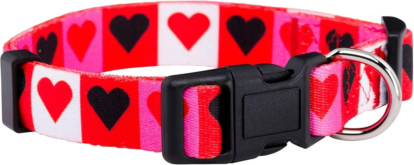 Halloween Dog Collar (Large, Bats)