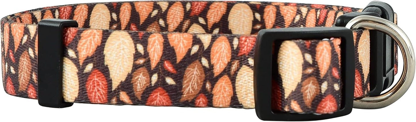Halloween Dog Collar (Large, Bats)