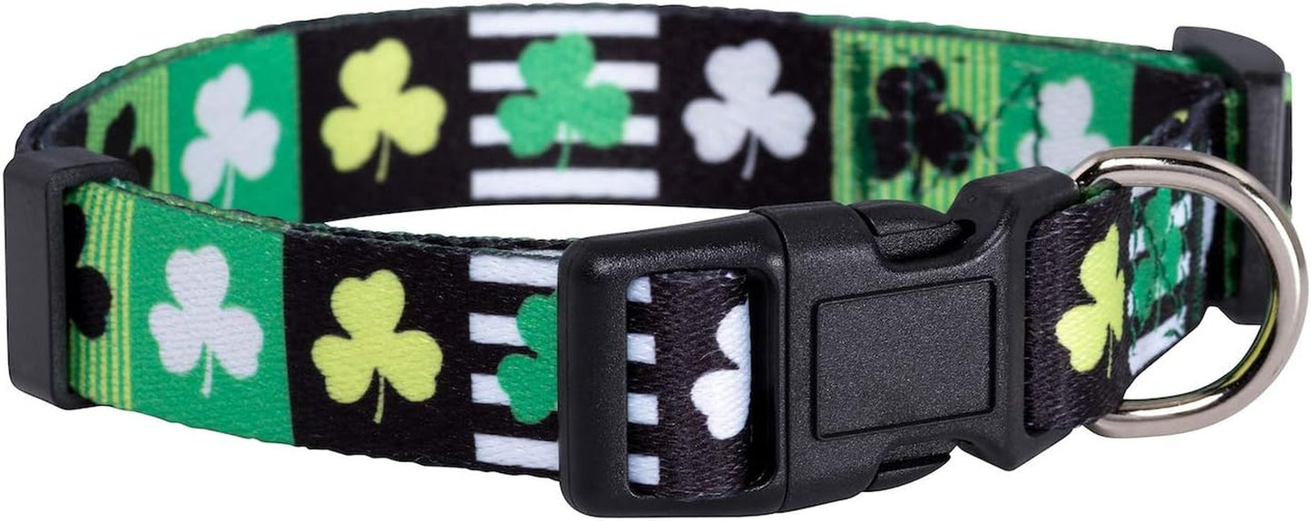 Halloween Dog Collar (Large, Bats)