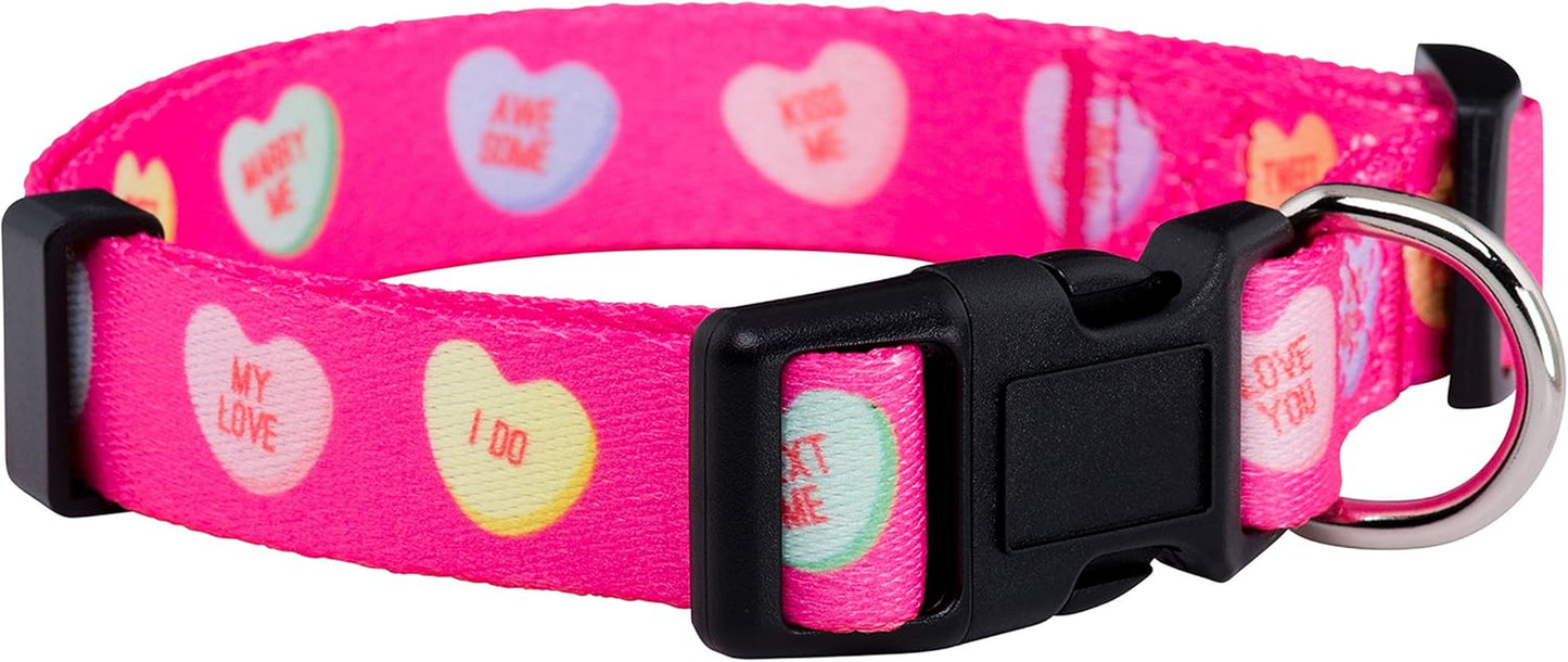 Halloween Dog Collar (Large, Bats)