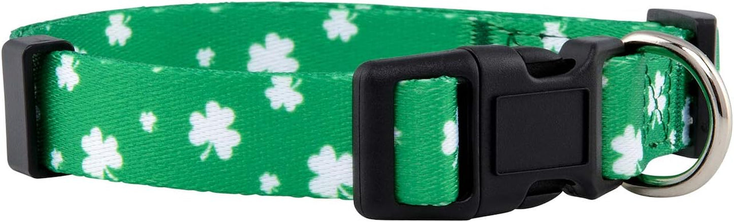 Halloween Dog Collar (Large, Bats)