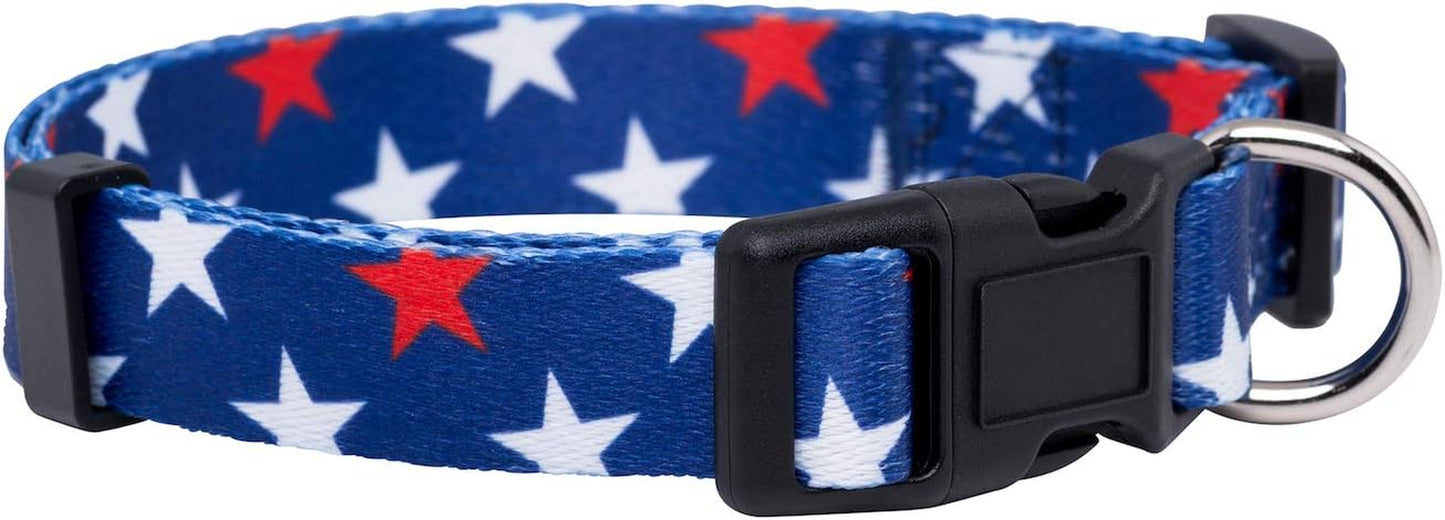 Halloween Dog Collar (Large, Bats)