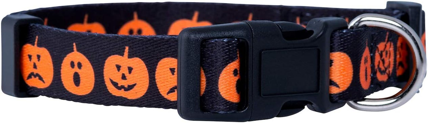 Halloween Dog Collar (Large, Bats)