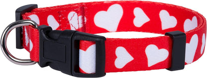 Halloween Dog Collar (Large, Bats)