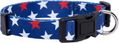 Halloween Dog Collar (Large, Bats)